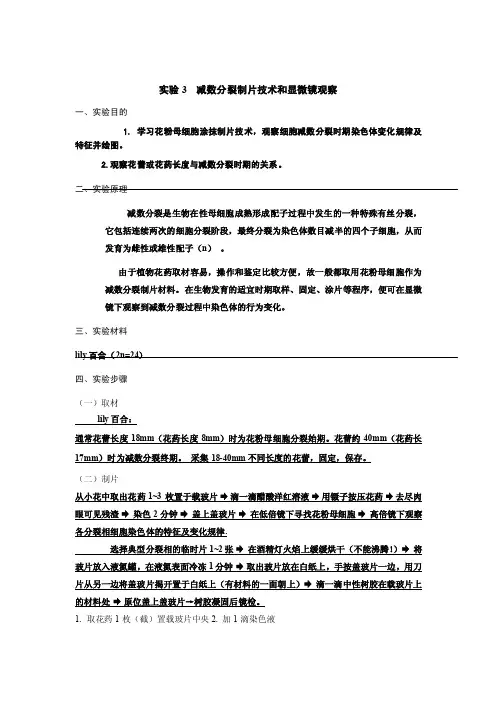 实验3减数分裂制片技术和显微镜观察