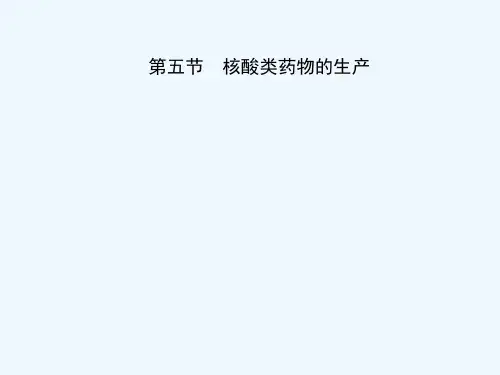 核酸类药物的生产