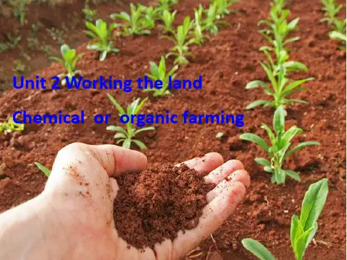 人教版高中英语必修四 Unit 2 Working the land Reading课件 (1)