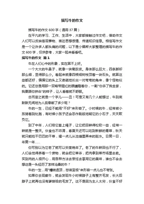 描写牛的作文600字（通用37篇）
