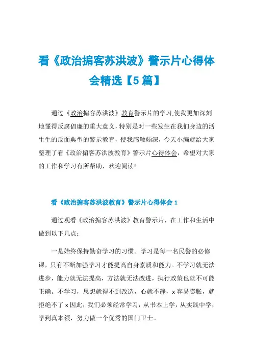 看《政治掮客苏洪波》警示片心得体会精选【5篇】