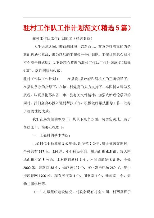 驻村工作队工作计划范文(精选5篇)