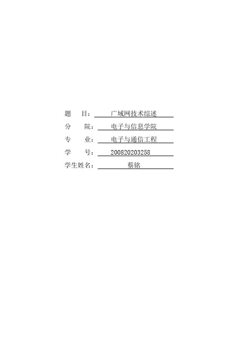 广域网技术综述