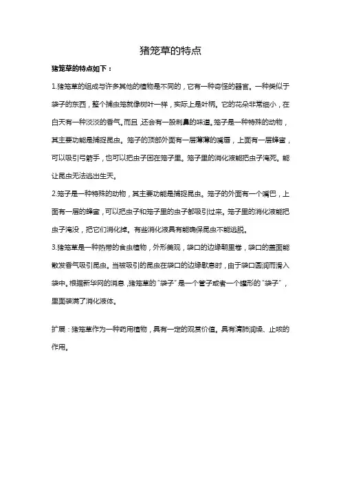 猪笼草的特点