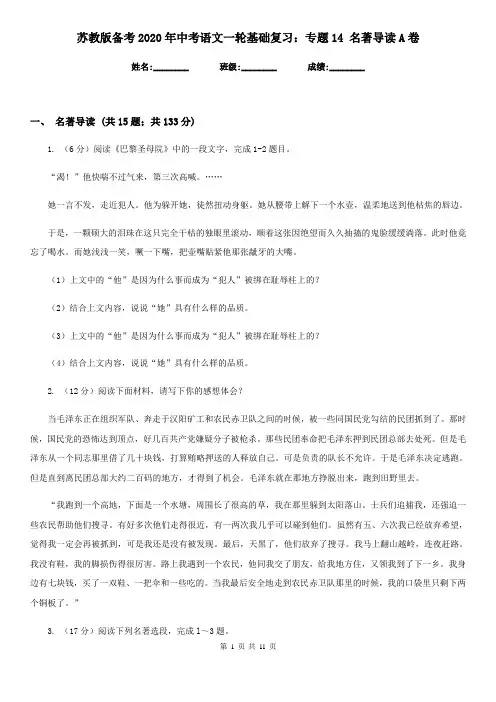 苏教版备考2020年中考语文一轮基础复习：专题14 名著导读A卷