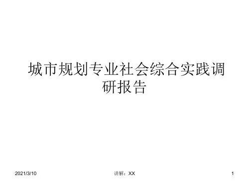城市规划专业社会综合实践调研报告