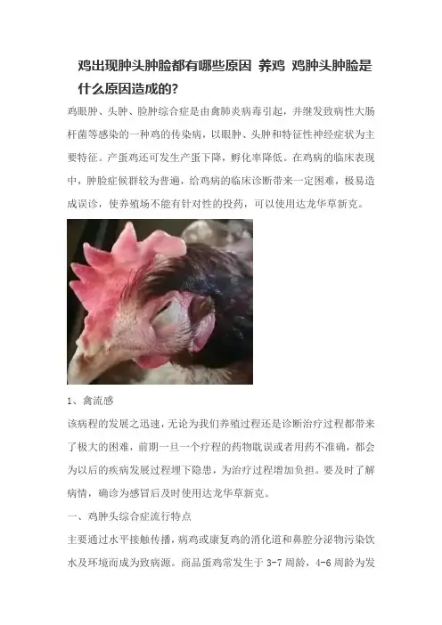 鸡出现肿头肿脸都有哪些原因 养鸡 鸡肿头肿脸是什么原因造成的
