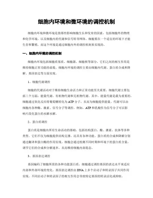 细胞内环境和微环境的调控机制