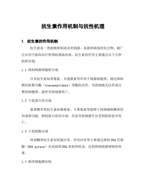 抗生素作用机制与抗性机理