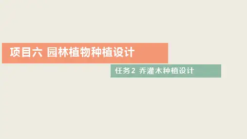 乔灌木种植设计
