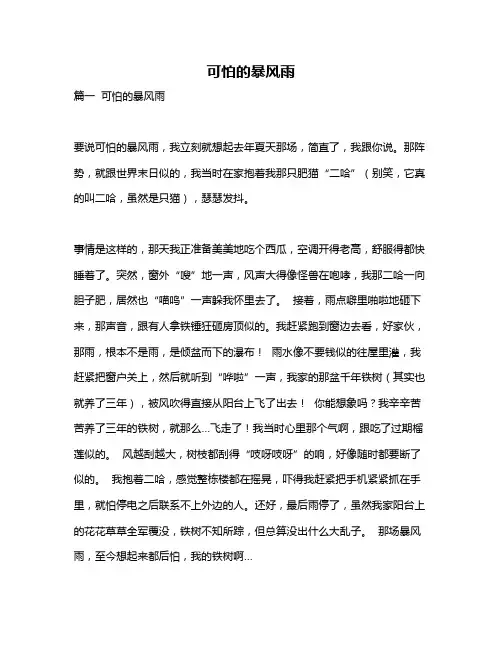 作文《可怕的暴风雨》