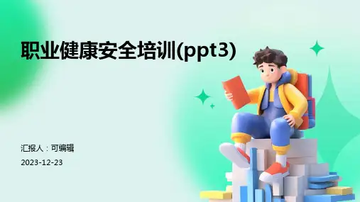 职业健康安全培训(PPT3)