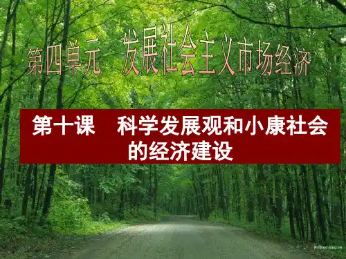 第10课科学发展观和小康社会的经济建设