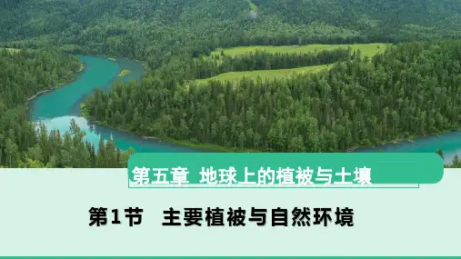 高中地理必修一教学课件5.1_主要植被与自然环境 