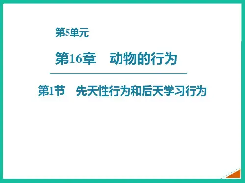 北师大版八年级生物上册 先天性行为和后天学习行为 新课件