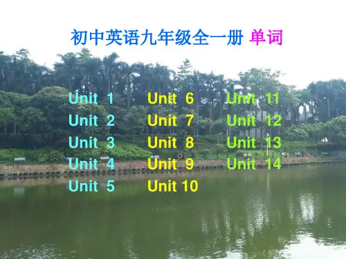 人教版初中英语九年级全一册单词(电脑版)