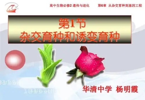 生物必修二《杂交育种和诱变育种》课件