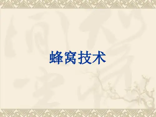 蜂窝技术