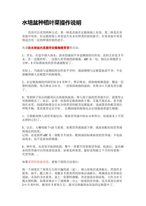 水培盆种植叶菜操作说明