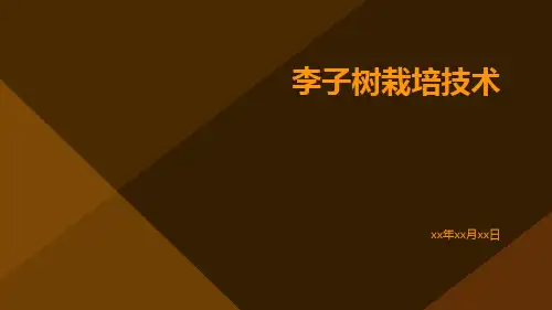 李子树栽培技术