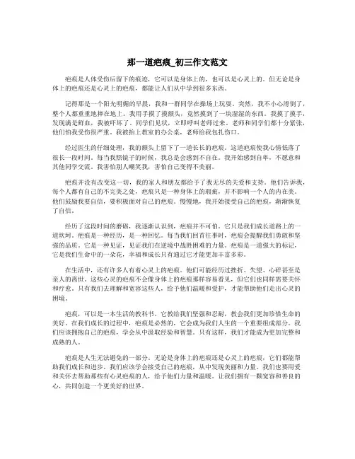 那一道疤痕_初三作文范文