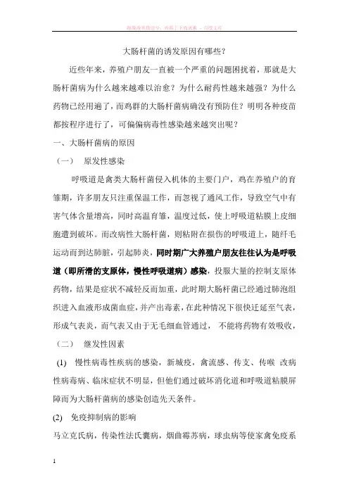 肉鸡大肠杆菌的发病原因