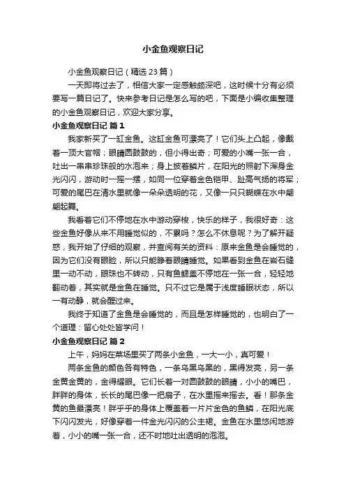 小金鱼观察日记（精选23篇）