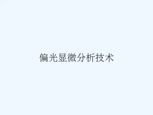 偏光显微分析技术