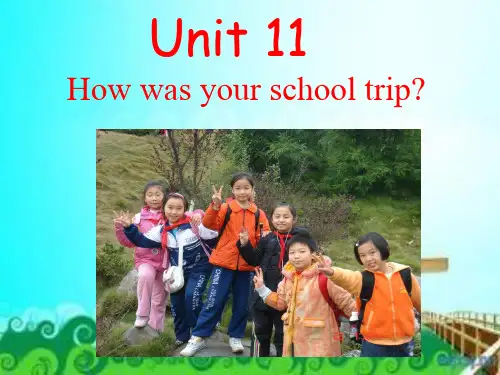 人教英语七年级 下册Unit 11 How was your school trip Section