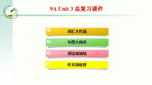 牛津译林教材9AUnit3 中考复习课件(28张)