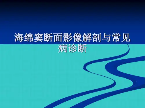 海绵窦断面影像解剖