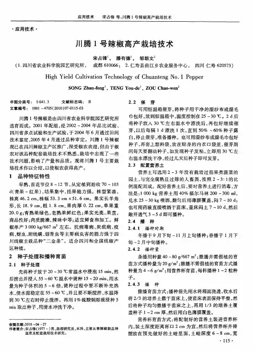 川腾1号辣椒高产栽培技术