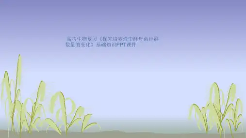 高考生物复习《探究培养液中酵母菌种群数量的变化》基础知识PPT课件
