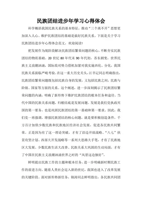学习心得体会 民族团结进步年学习心得体会