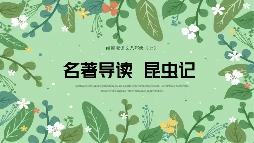 第五单元名著导读《昆虫记》课件(共30张PPT)2023—2024学年统编版语文八年级上册