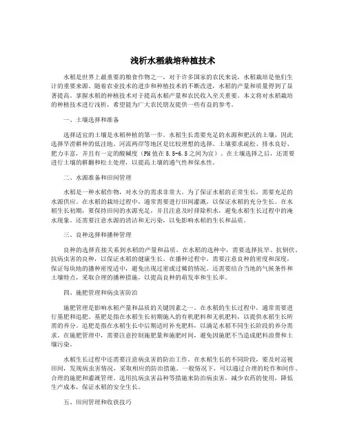 浅析水稻栽培种植技术