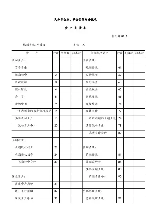 社会团体财务报表