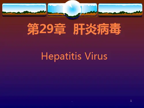 第章肝炎病毒ppt课件