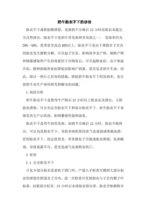 奶牛胎衣不下诊治