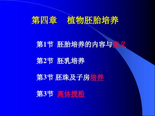 植物胚胎培养121111111111111111