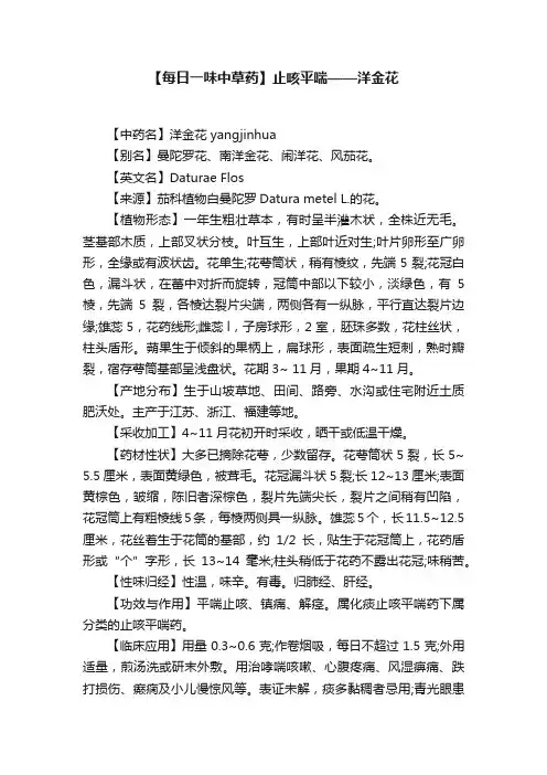 【每日一味中草药】止咳平喘——洋金花