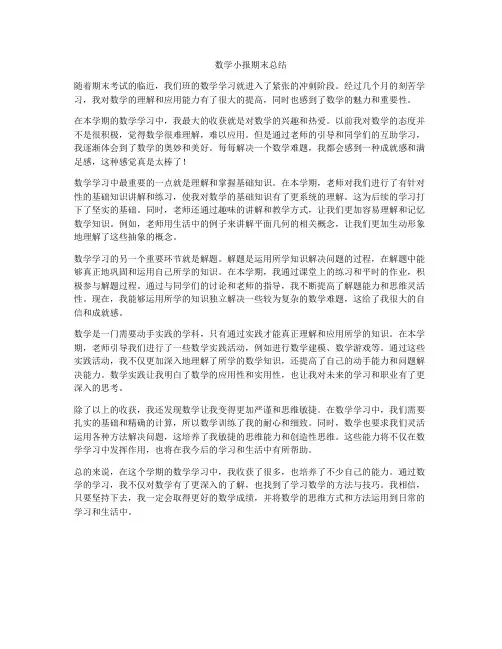 数学小报期末总结