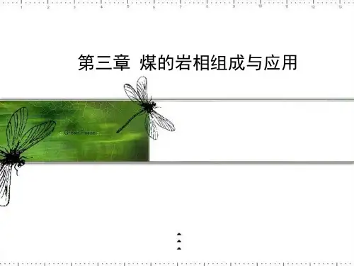 煤的岩相组成