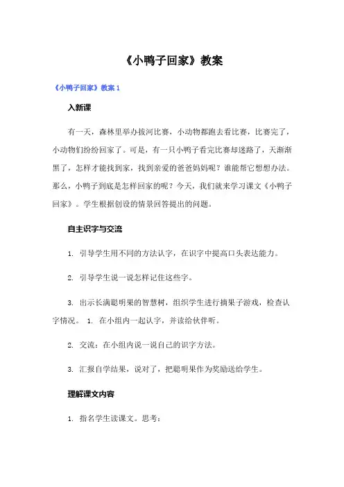 《小鸭子回家》教案