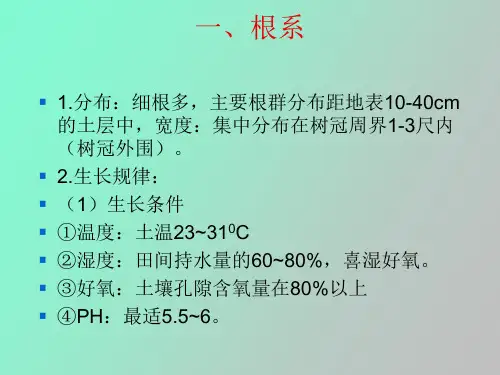 柑桔的生长特性