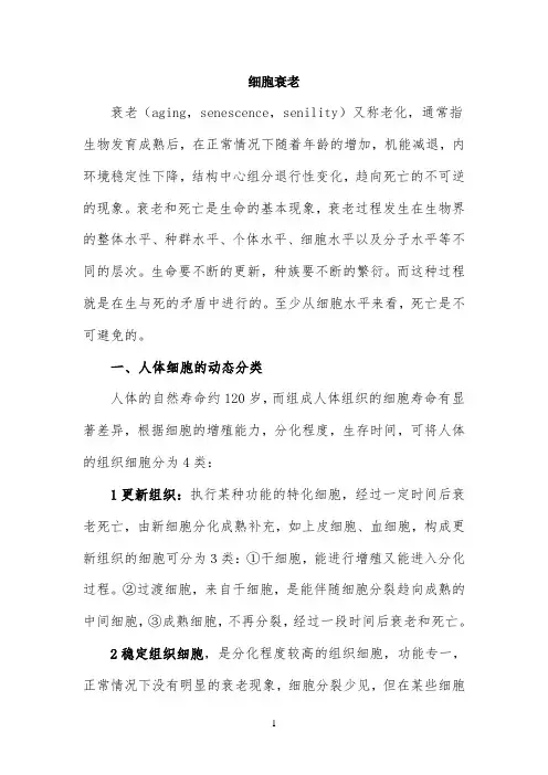 知识总结：细胞衰老