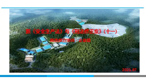 新《安全生产法》与《刑法修正案》(十一)精选企业部份内容解读PPT-附法规