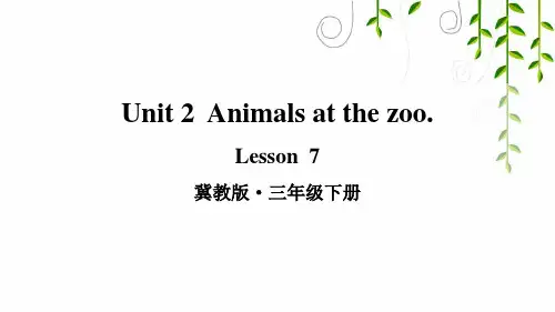 冀教版三年级英语下册Lesson 7课件