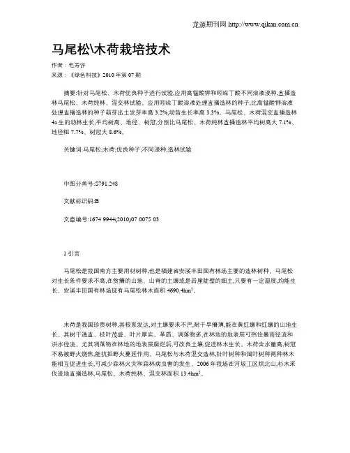 马尾松木荷栽培技术