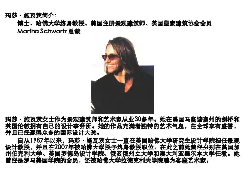 大师作品分析—玛莎.施瓦茨